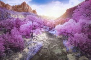 Watchman from Canyon Junction IR